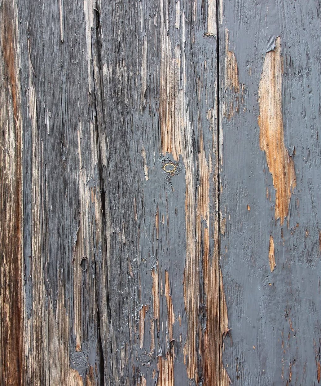 Fresh wood replacement on a home exterior, fully repaired and primed