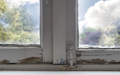 Ways To Eliminate Dry Rot in Your Georgia Home