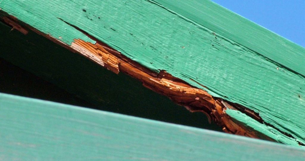 What Every Homeowner Should Know About Dry Rot