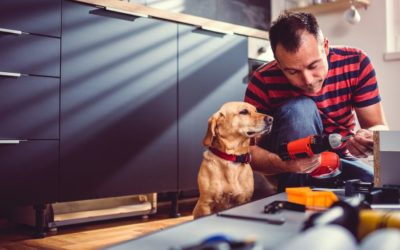 3 Ways To Keep Your Pets Safe While Renovating Your Home